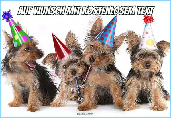 Rechteck Motiv: Kleine Geburtstagshunde mit Hüten - Deintortenbild.de Tortenaufleger aus Esspapier: Oblatenpapier, Zuckerpapier, Fondantpapier