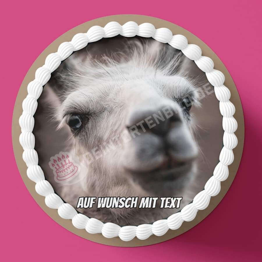 Motiv: Lama Kopf - Hochwertige und individuelle Tortenaufleger für jeden Anlass
Tortenaufleger Lama Kopf nah in 20cm Kreis
Unsere Tortenaufleger sind ein ideales Geschenk für besonder - Tortenbild - DeintortenbildLama Kopf