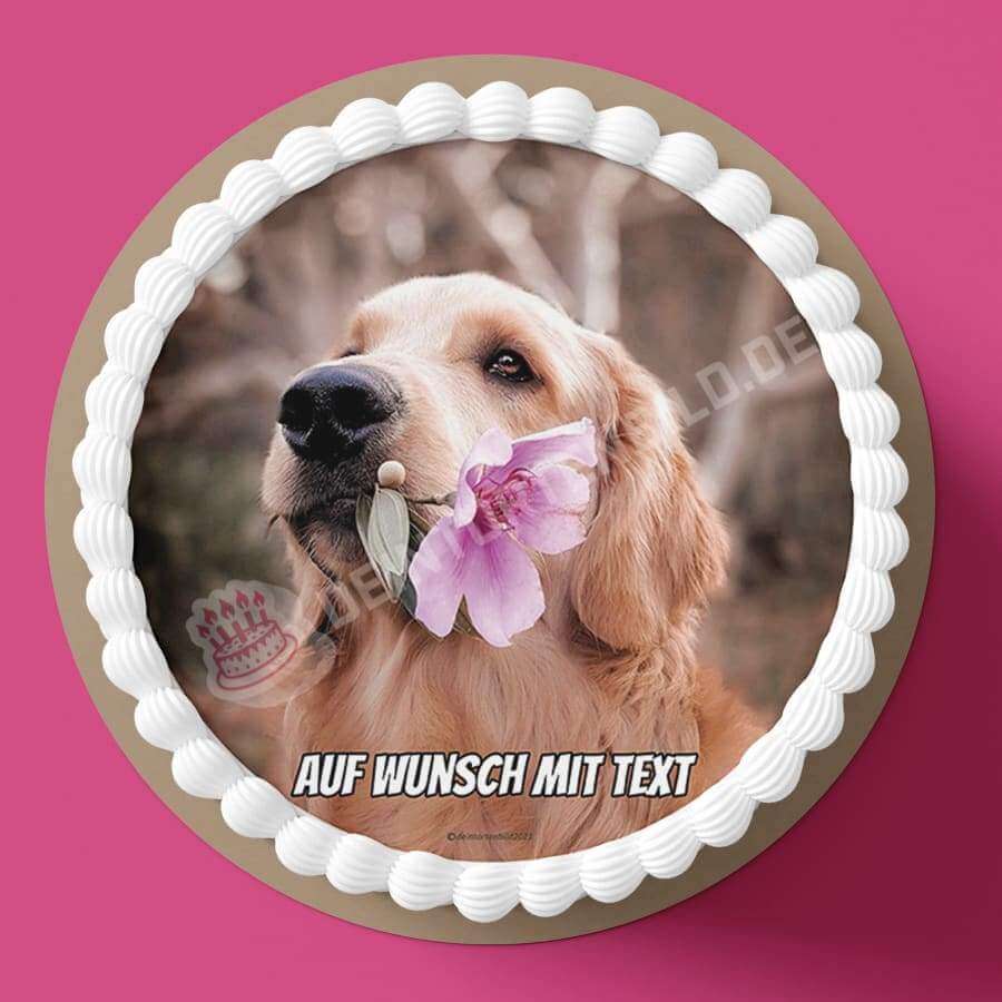 Motiv: Hund mit Blume - Hochwertige und individuelle Tortenaufleger für jeden Anlass
Tortenaufleger Hund mit Blume in 20cm Kreis
Unsere Tortenaufleger sind ein ideales Geschenk für besonde - Tortenbild - DeintortenbildHund mit Blume