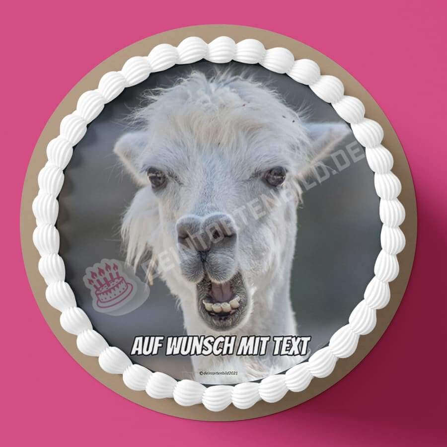 Motiv: Lustiges Lama - Hochwertige und individuelle Tortenaufleger für jeden Anlass
Tortenaufleger Lustiges Lama in 20cm Kreis
Unsere Tortenaufleger sind ein ideales Geschenk für besonder - Tortenbild - DeintortenbildLustiges Lama