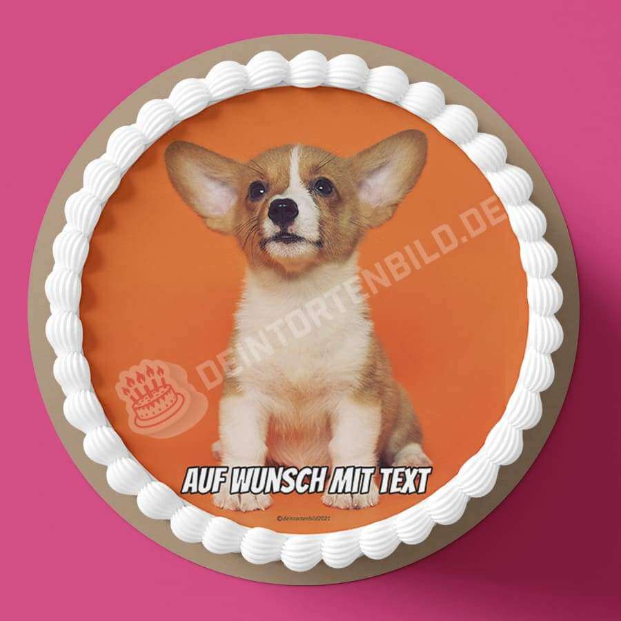 Motiv: Corgi - Hochwertige und individuelle Tortenaufleger für jeden Anlass
Tortenaufleger Corgi in 20cm Kreis 
Unsere Tortenaufleger sind ein ideales Geschenk für besondere Mensch - Tortenbild - DeintortenbildMotiv