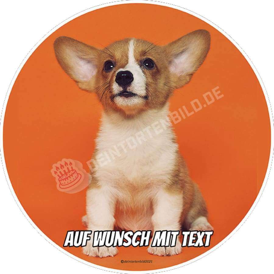 Motiv: Corgi - Hochwertige und individuelle Tortenaufleger für jeden Anlass
Tortenaufleger Corgi in 20cm Kreis 
Unsere Tortenaufleger sind ein ideales Geschenk für besondere Mensch - Tortenbild - DeintortenbildMotiv