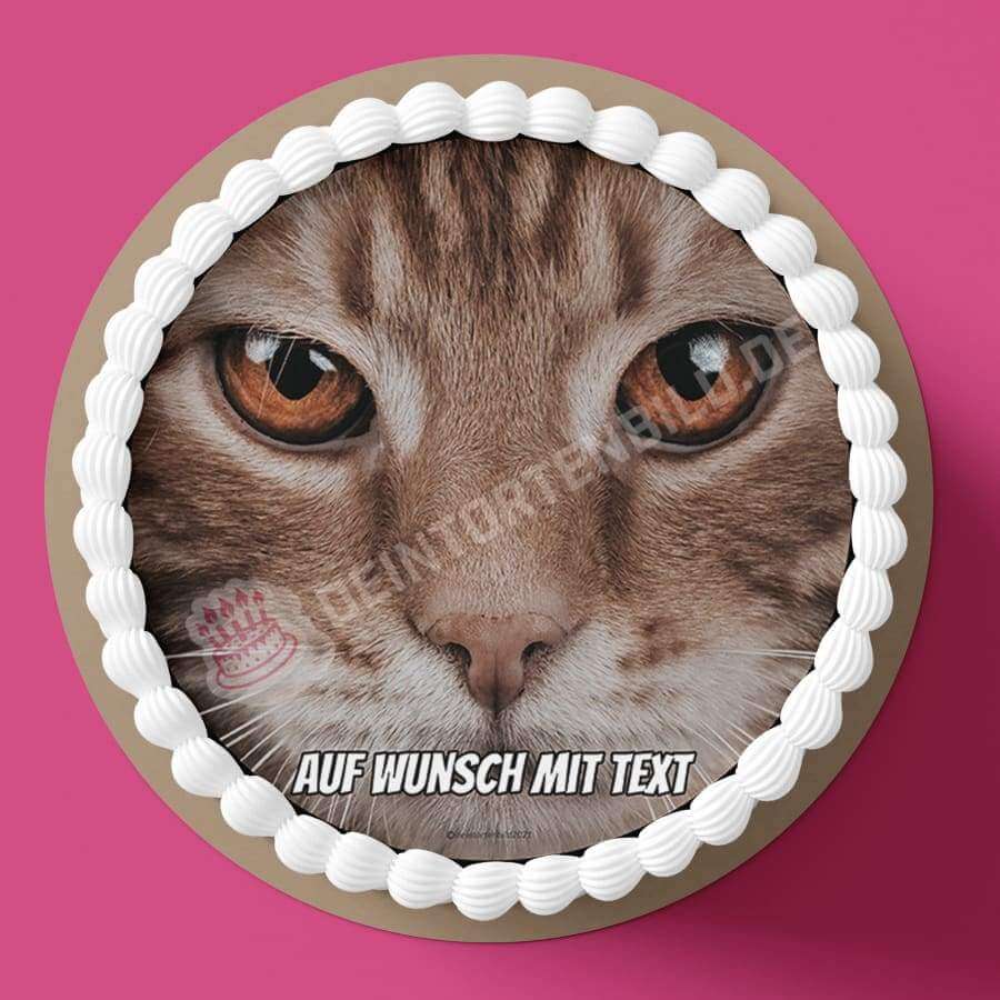 Motiv: Katze Frontal - Hochwertige und individuelle Tortenaufleger für jeden Anlass
Tortenaufleger Katze Frontal 20cm Kreis 
Unsere Tortenaufleger sind ein ideales Geschenk für besondere M - A4 Tortenbild - DeintortenbildKatze Frontal