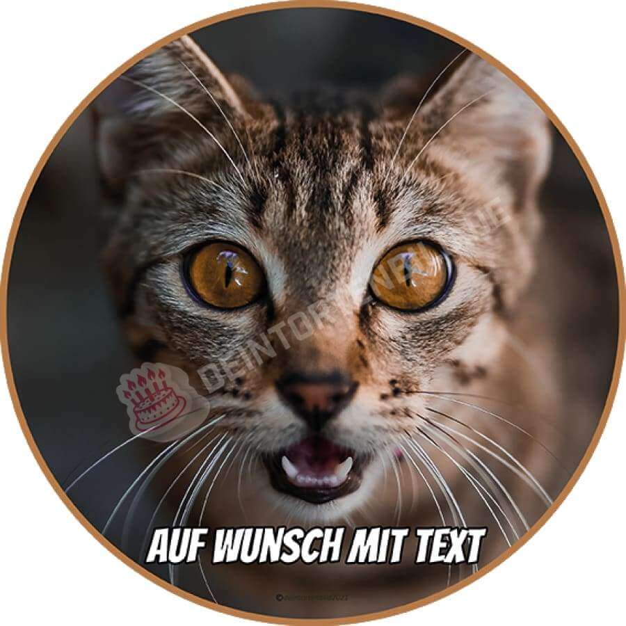 Motiv: Katze aufgeregt - Hochwertige und individuelle Tortenaufleger für jeden Anlass
Tortenaufleger Katze aufgeregt 20cm Kreis 
Unsere Tortenaufleger sind ein ideales Geschenk für besondere - Tortenbild - DeintortenbildKatze aufgeregt