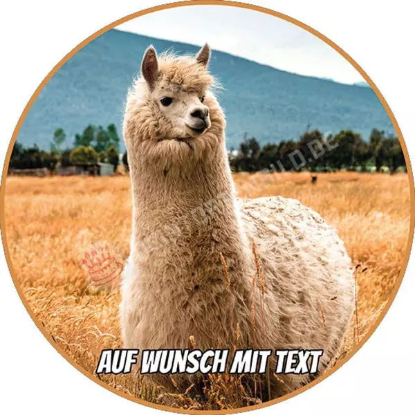 Motiv: Wolliges Lama - Hochwertige und individuelle Tortenaufleger für jeden Anlass
Tortenaufleger Wolliges Lama in 20cm Kreis 
Unsere Tortenaufleger sind ein ideales Geschenk für besonder - A4 Tortenbild - DeintortenbildWolliges Lama