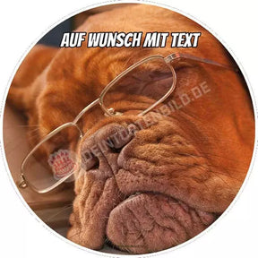 Motiv: Schlafender Hund Mit Brille Tortenbild
