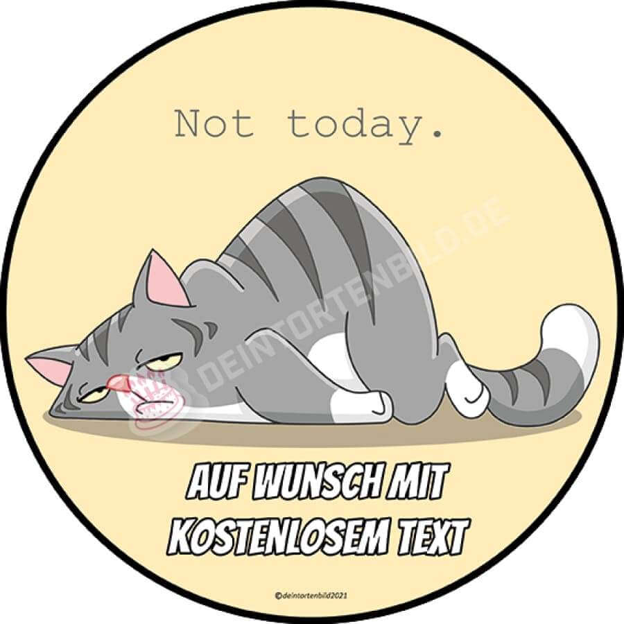 Motiv: Not Today - Faule Katze Tortenbild